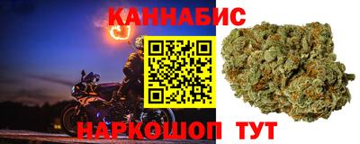 СК Гусев