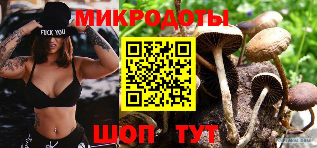 Галлюциногенные грибы Psilocybine cubensis  где продают   Псилоцибиновые грибы Psilocybine cubensis  Новый Уренгой  Вход с VPN 