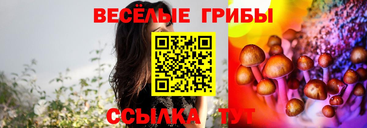 Галлюциногенные грибы Cubensis Новый Уренгой